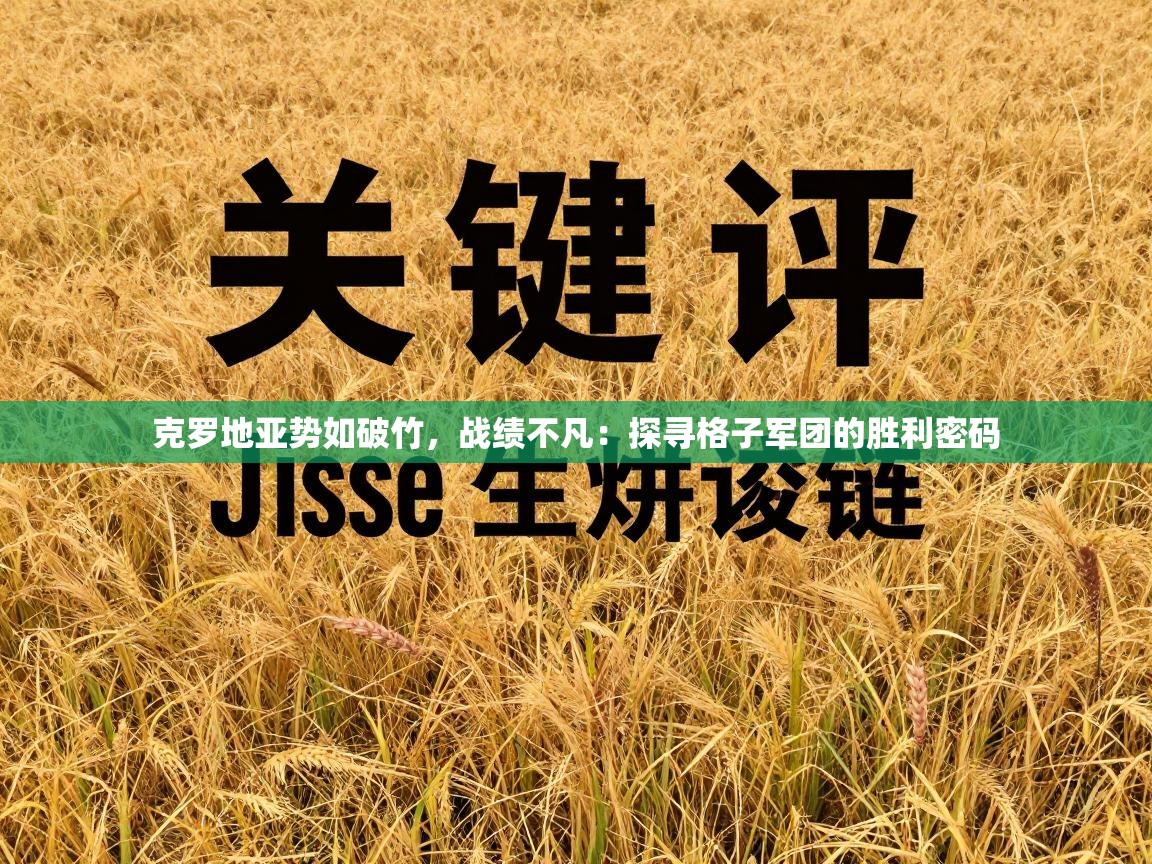 克罗地亚势如破竹，战绩不凡：探寻格子军团的胜利密码  第2张