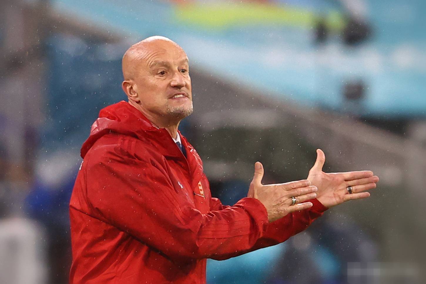 包含匈牙利队表现稳定，实力或成黑马之一的词条