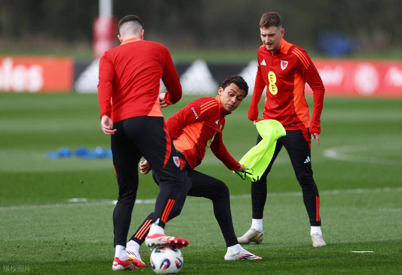 比利时队表现不佳，惨遭欧预赛淘汰